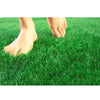 Artificial Turf Full Paved With Artificial Turf 8mm 50 Flat Engineering Enclosure Plastic Turf Kindergarten Roof Engineering Artificial Turf
