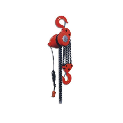 10T * 6m 750w Electric Hoist * 1 Set