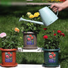 6 Pieces Watering Pot Watering Pot Plastic Watering Pot Long Spout Flower Watering Pot Gardening Flower Raising Tools Potted Watering Pot Green