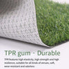 Artificial Simulation Turf Mat False Grass Plastic False Green Plant Wall Kindergarten Indoor TPR Gum 1.0cm Super Dense White Rubber Green Grass